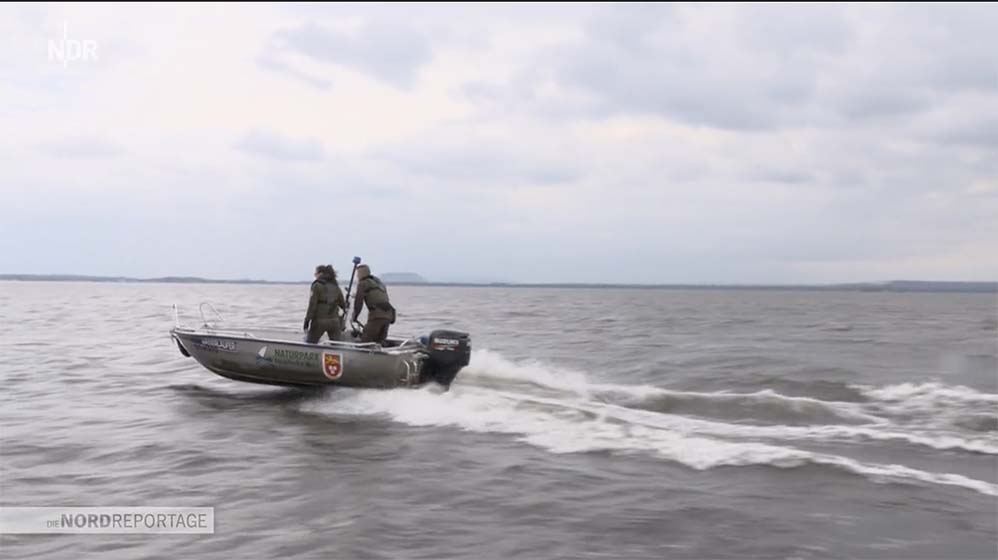 Schnitt NDR Nordreportage Steinhuder Meer